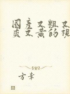 国产又粗又猛又爽又黄的视频免费