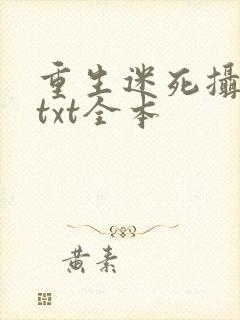 重生迷死摄政王txt全本