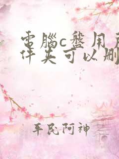 电脑c盘用户文件夹可以删除吗