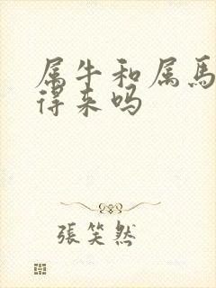 属牛和属马的合得来吗