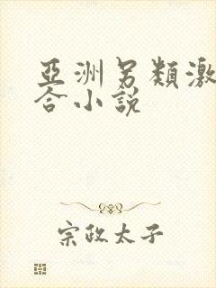 亚洲另类激情综合小说