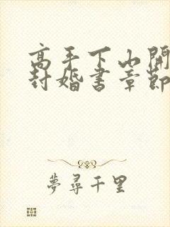 高手下山开局九封婚书章节目录