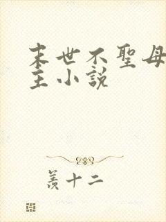 末世不圣母无女主小说