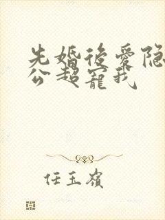 先婚后爱隐婚老公超宠我