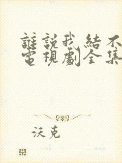 谁说我结不了婚电视剧全集观看