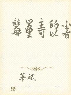 双男主的小说在哪里可以看