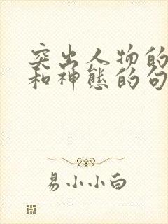 突出人物的外貌和神态的句子短