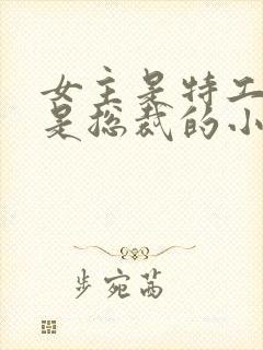 女主是特工男主是总裁的小说