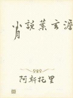 小说叶玄澹台明月