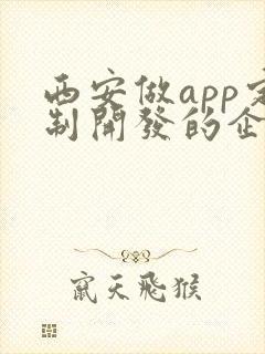 西安做app定制开发的企业