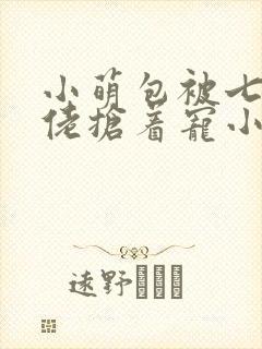 小萌包被七个大佬抢着宠小说免费阅读全文