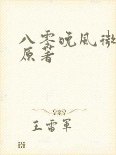 八零晚风微微甜原著