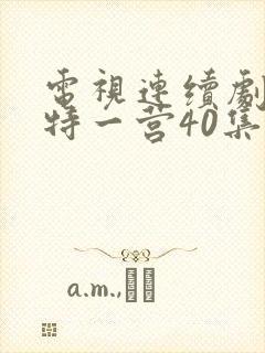 电视连续剧我的特一营40集