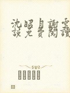 沈昭月谢云湛小说免费阅读最新章节