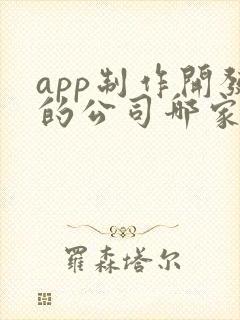 app制作开发的公司哪家好