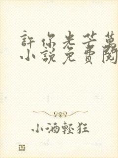 许你光芒万丈好小说免费阅读无弹窗