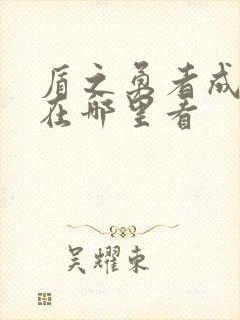 盾之勇者成名录在哪里看