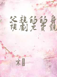 父亲的的身份电视剧免费观看