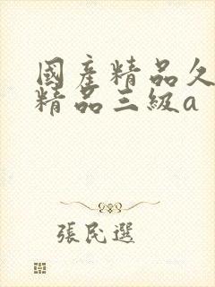 国产精品久久久精品三级a