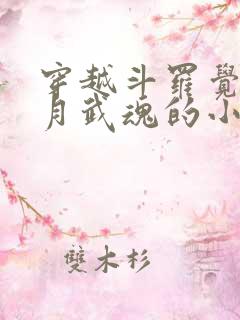 穿越斗罗觉醒日月武魂的小说