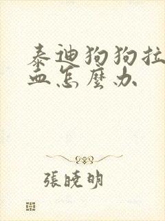 泰迪狗狗拉稀带血怎么办