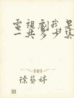 电视剧我是刑警一共多少集