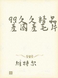 99久久精品国产国产毛片