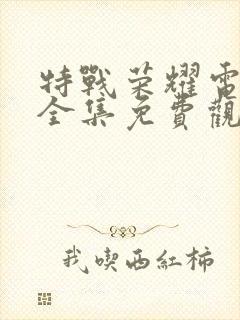 特战荣耀电视剧全集免费观看完整版