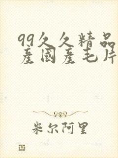 99久久精品国产国产毛片