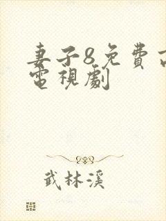 妻子8免费高清电视剧