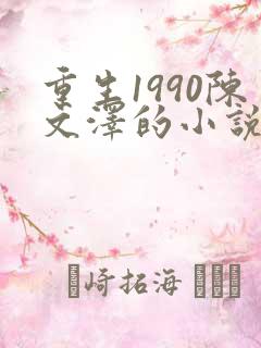 重生1990陈文泽的小说正版