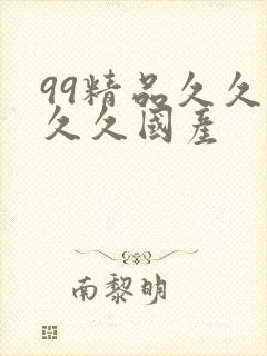 99精品久久久久久国产