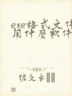 exe格式文件用什么软件打开
