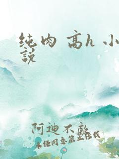 纯肉 高h 小说