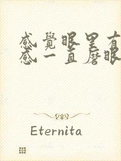 感觉眼里有异物感一直磨眼怎么办