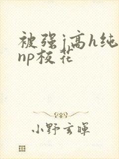 被强j高h纯肉np校花