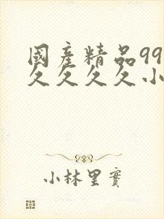 国产精品99久久久久久小说