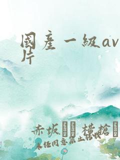 国产一级av一片