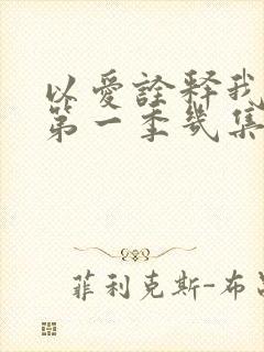 以爱诠释我的心第一季几集