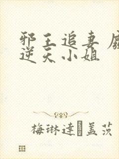 邪王追妻 废材逆天小姐