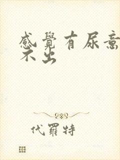 感觉有尿意却尿不出