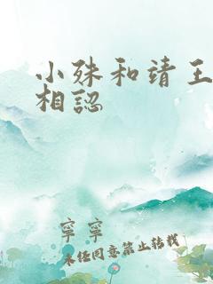 小殊和靖王哪集相认