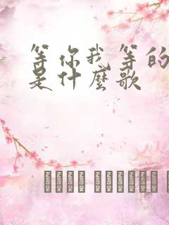 等你我等的太久是什么歌