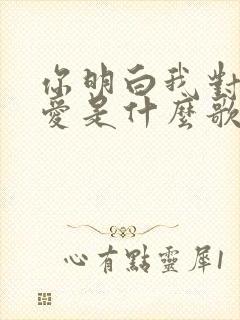 你明白我对你的爱是什么歌