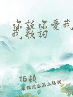 你说你爱我你想我歌词