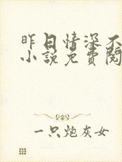 昨日情深不可追小说免费阅读