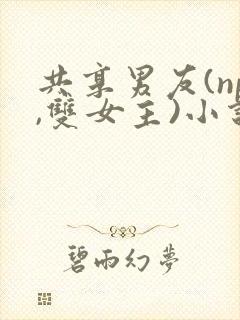 共享男友(np,双女主)小说