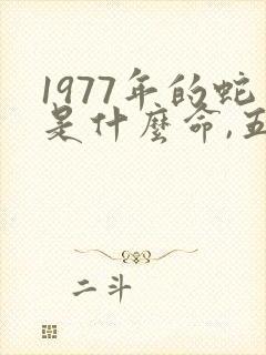 1977年的蛇是什么命,五行属性