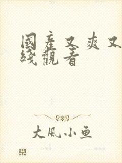 国产又爽又黄在线观看