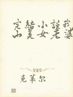 完结小说我的冰山美女老婆